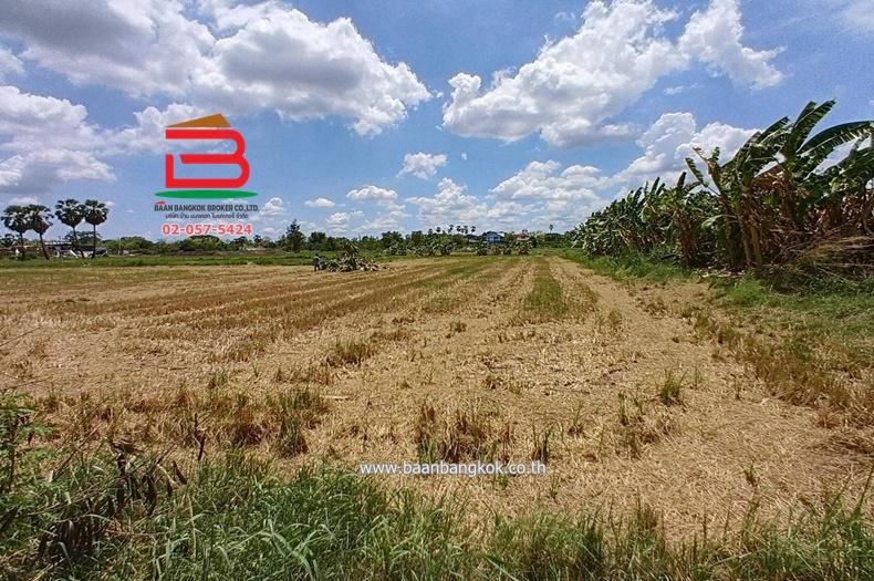  ที่ดินเปล่า ถนนปทุมธานี-บางปะหัน (347) เนื้อที่ 2-2-0 ไร่ ใกล้ตลาดพูนทรัพย์ ถนนปทุมธานี-บางปะหัน (347) ตำบลเชียงรากใหญ่ อำเภอสามโคก จังหวัดปทุมธานี 5