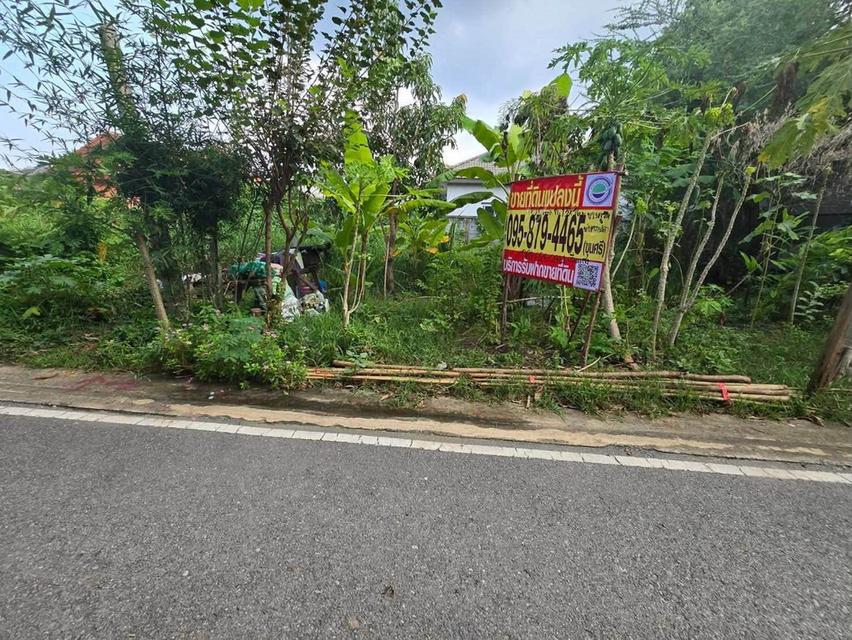 ขายด่วนที่ดิน 52 ตรว ติดถนนลาดยางสาธารณะ ถมแล้ว ต.บางคูรัด อ.บางบัวทอง จ.นนทบุรี 3