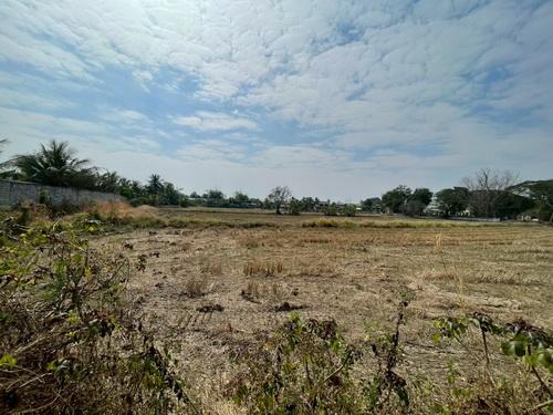 ขายที่ดิน 3 งาน 78.0 ตรว. ต.ขามทะเลสอ อ.ขามทะเลสอ จ.นครราชสีมา 10