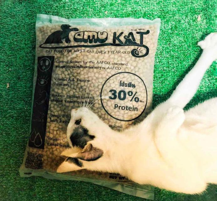 Kamu Kat สูตรโปรตีนสูง 30%