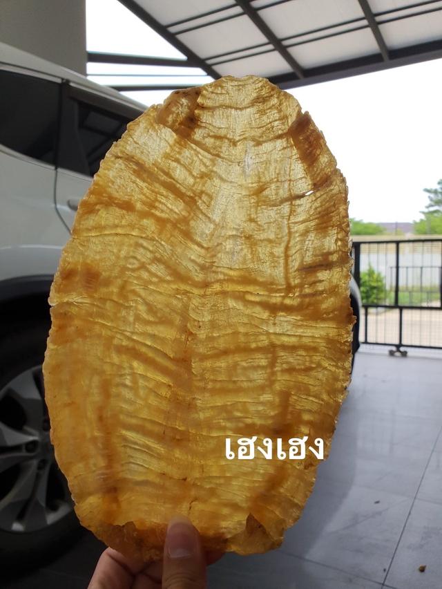 เฮงเฮง รับซื้อกระเพาะปลาเก่า ของเก่าของสะสม ยินดีให้คำปรึกษานะครับ