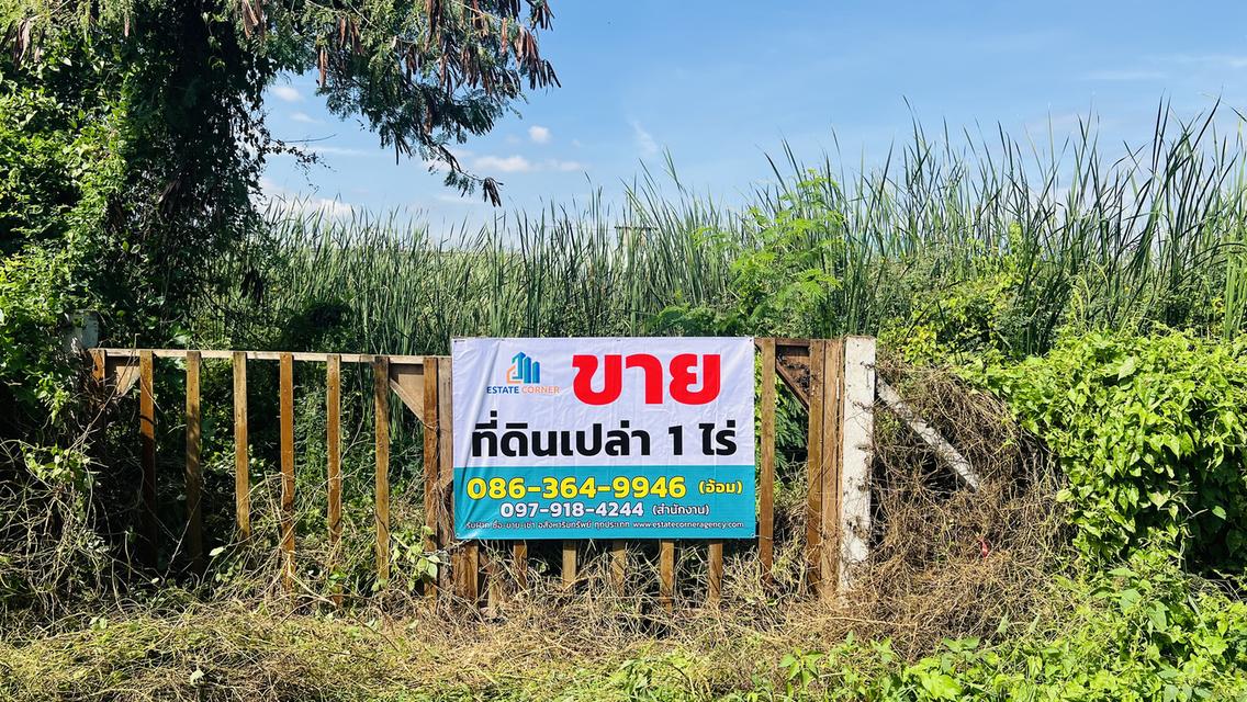 ที่ดินเปล่า 1 ไร่ คลอง 2 รังสิต-นครนายก ทำเลทองเหมาะสำหรับสร้างโกดัง-คลังสินค้า-โรงงานขนาดเล็ก-โฮมออฟฟิศ หรือจะซื้อเก็บไว้ เก็งกำไรระยะยาว ก็ปังแน่นอน 1