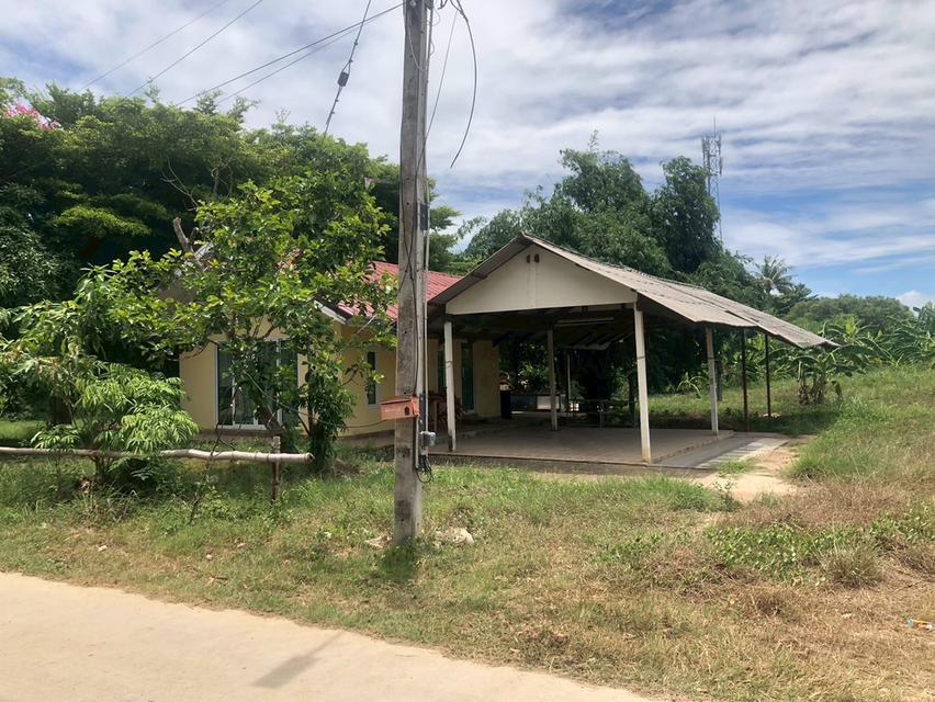 🔥 ที่ดินแปลงสวย บางเสร่ 3 ไร่ 45 ตร.ว. ทำเลศักยภาพ เหมาะพัฒนาพูลวิลล่าและโครงการลงทุน Tel. 083 612 9880 8