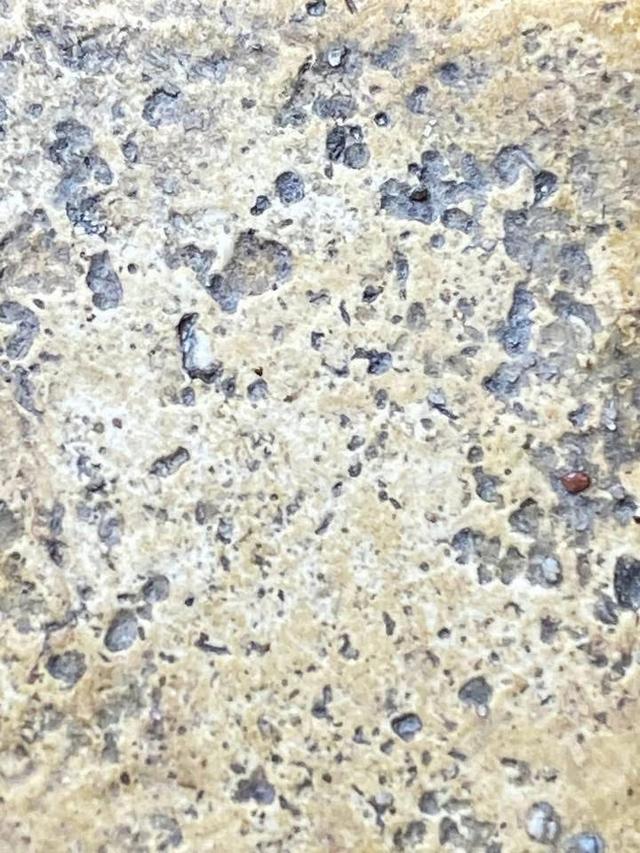 พระสมเด็จวัดระฆัง บางขุนพรรม เกศไชโย และพระเบญจภาคี รูปที่ 7