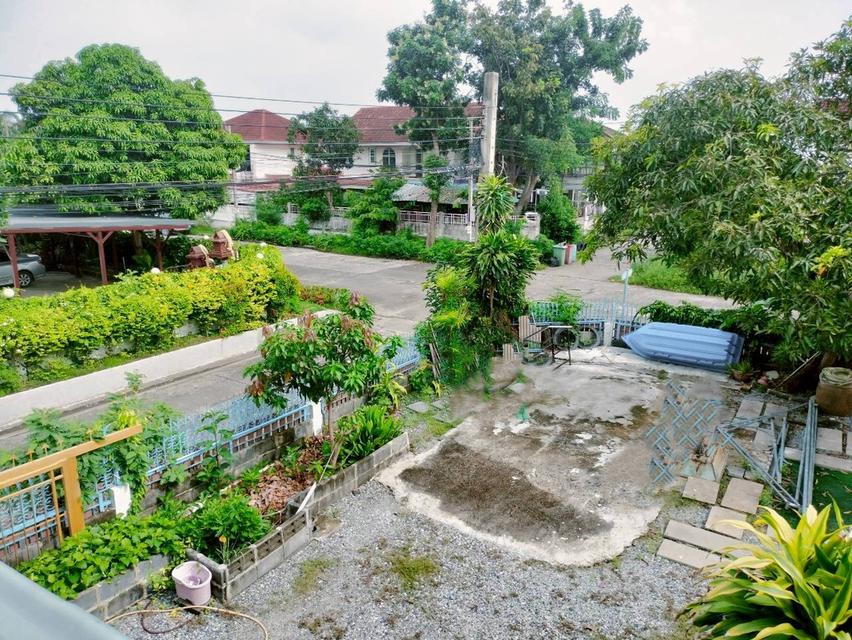 🏡ขาย บ้านเดี่ยวหลังมุม ติดถนน ทิพมาศ-เสรีบางนา บางบ่อ  114 ตร.ว 20