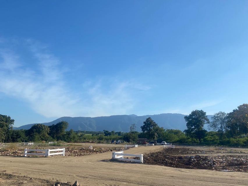 THE HILL KHAO YAI แปลงละ 1 ไร่ ตำบล หมูสี อำเภอปากช่อง นครราชสีมา 4