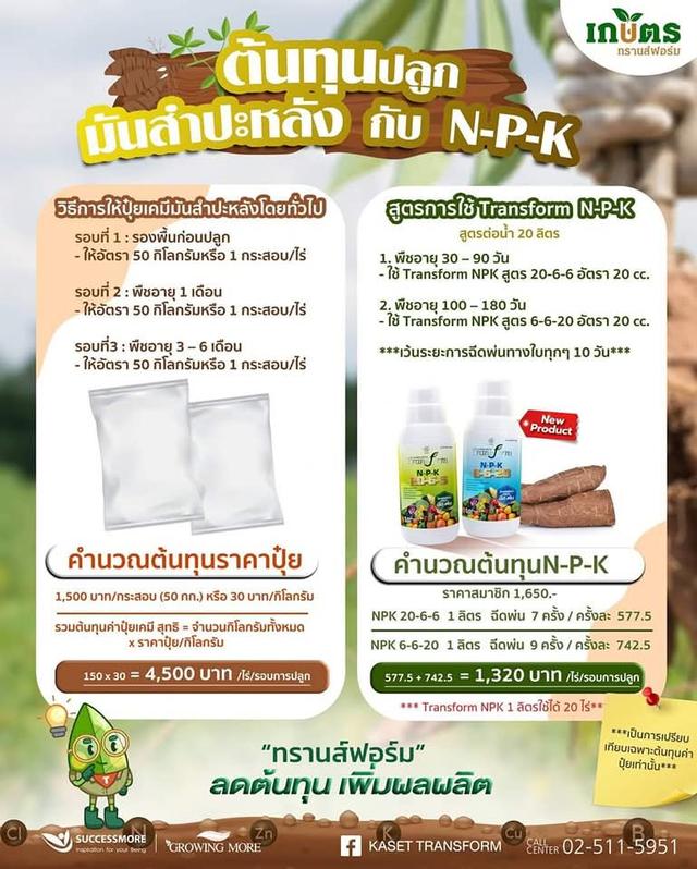 ปุ๋ย transform n p k สูตร 6 6 20 รูปที่ 5