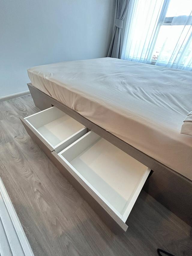 ให้เช่า 1ห้องนอน BTSบางนา Regent home bangna (รีเจ้นท์ โฮม บางนา) 5