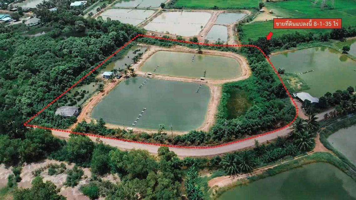 ที่ดิน บางคล้า ฉะเชิงเทรา  7