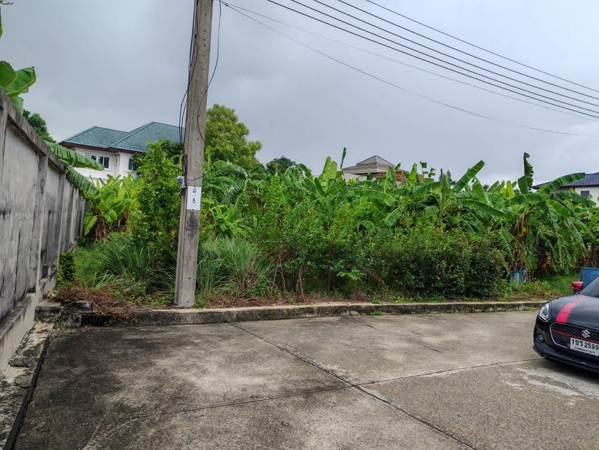 ขายที่ดินใน ม.ศรีวดี ซอยสมาคมชาวปักษ์ใต้หลังพาซิโอ้