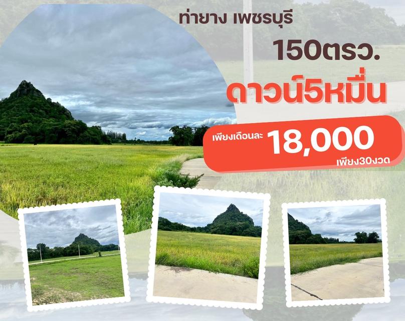 ที่ดิน ท่ายาง จ.เพชรบุรี