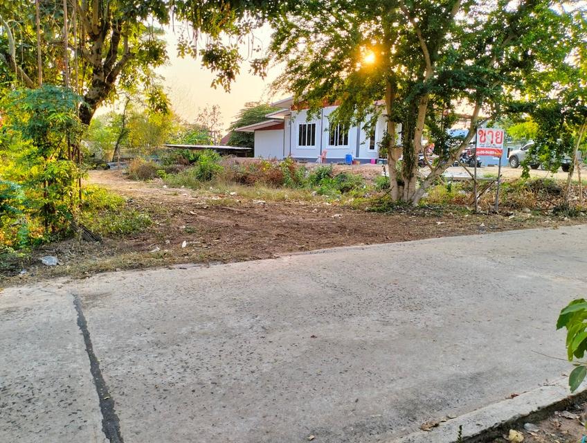 ขายที่ดินเปล่า127ตรว.หลังวิทยาลัยอาชีวไทยเทคเอเชีย ห่างถนนหลวง สมเด็จ-มุกดาหาร 200เมตร  9