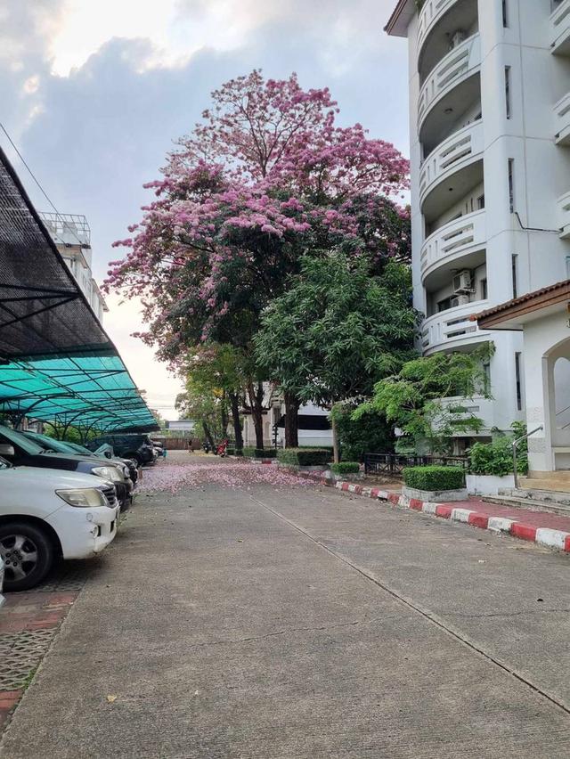 คอนโดบ้านสวนธนศรีนครินทร์ 3