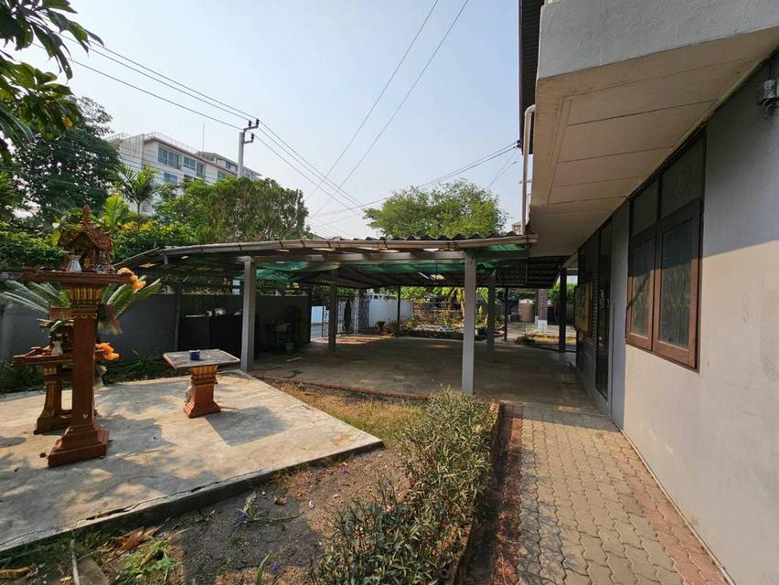 บ้านสวน 2 ชั้นกลางเมือง บรรยากาศร่มรื่น เป็นส่วนตัว ใกล้รถไฟฟ้า เหมาะสำหรับอยู่อาศัย ทำคาเฟ่ หรือเปิดร้านอาหาร ใกล้เซ็นทรัลลาดพร้าว 12