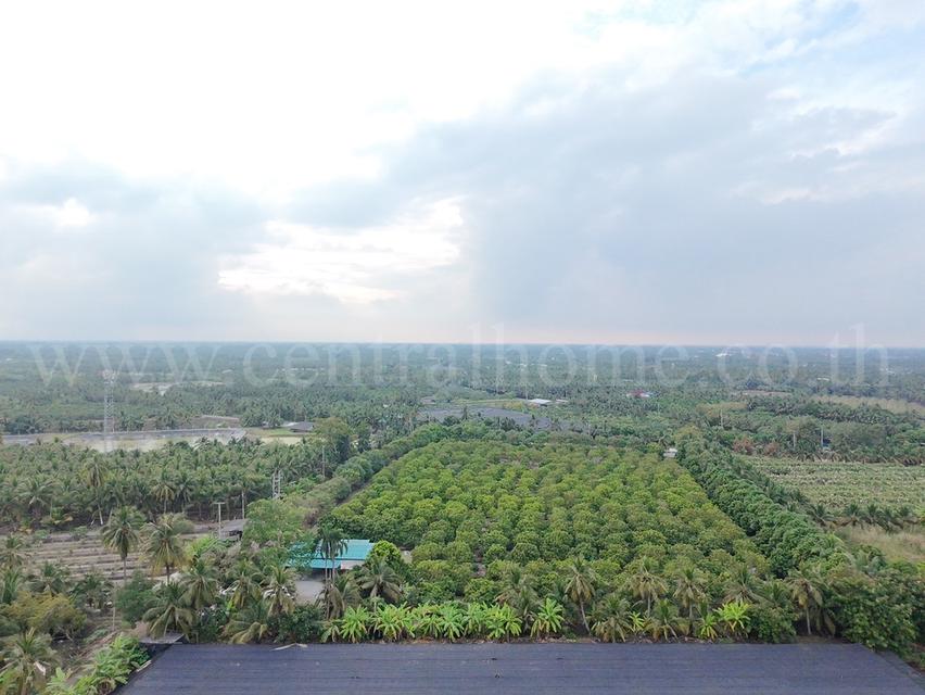 ที่ดิน พร้อมสิ่งปลูกสร้าง 9-3-60 ไร่ สามพราน นครปฐม 2