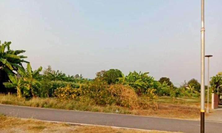 ให้เช่าที่ดินเปล่าถมแล้ว 226 ตารางวา ใกล้แม่น้ำน่านวิวสวย 5