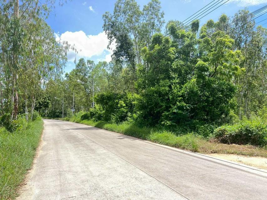 💥ขายที่ดินห้วยใหญ่ พัทยา เหมาะสำหรับลงทุน💥 7