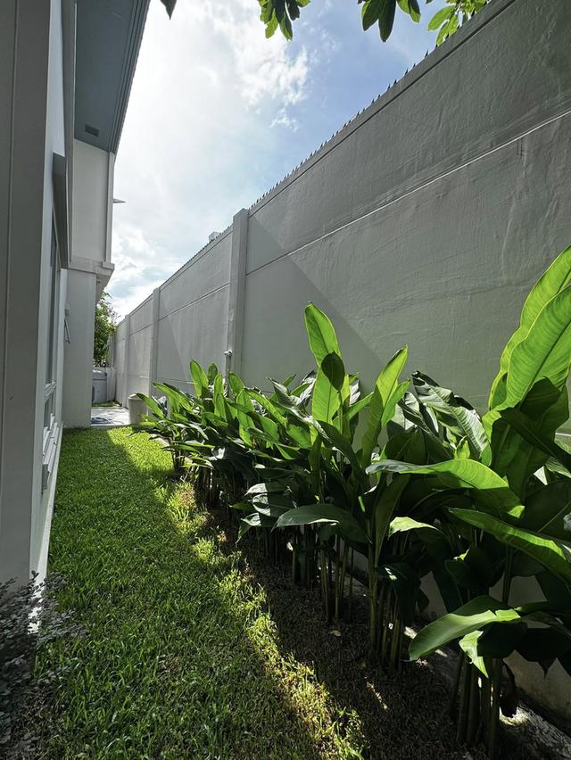 ให้เช่าบ้านเดี่ยว 2 ชั้น โครงการใหม่หมู่บ้าน มัณฑนาบางนา-วงแหวน (รามคำแหง 2) กรุงเทพมหานคร 9