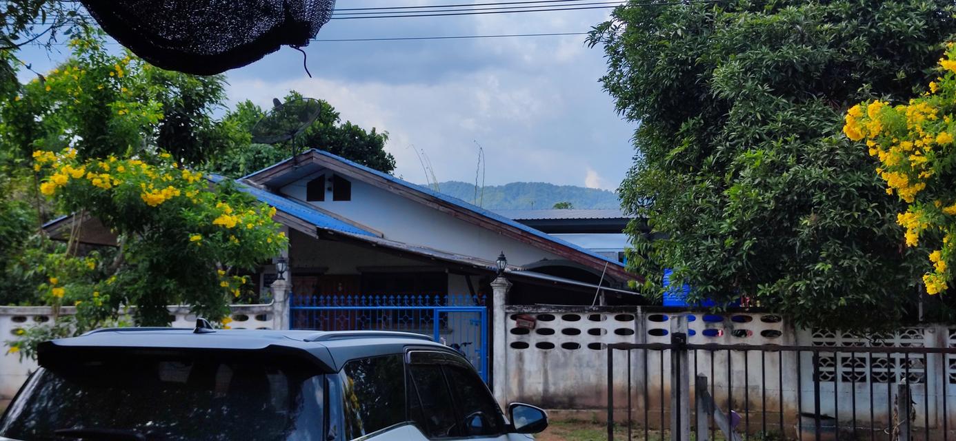 ที่ดินพร้อมสิ่งปลูกสร้าง อุตรดิตถ์ 12