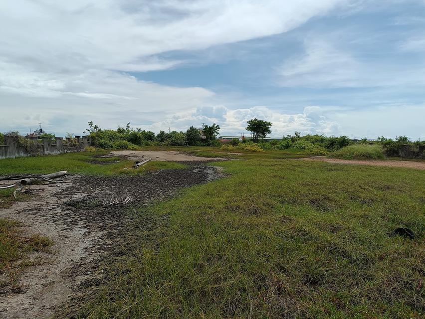 ขายที่ดินพร้อมสิ่งปลูกสร้าง (ติดแม่น้ำบางปะกง ) ในโครงการรอยัล เลคไซด์ กอล์ฟคลับ อำเภอบางปะกง จังหวัดฉะเชิงเทรา 6