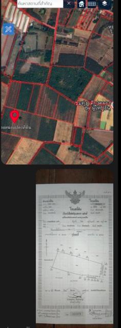 ที่ดิน 50ไร่ 1