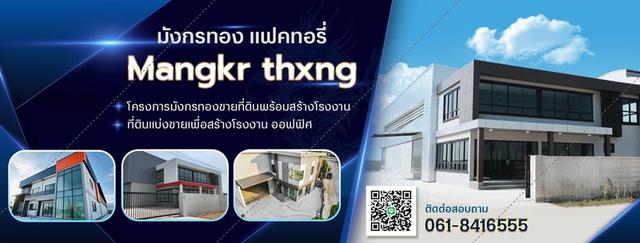 ขายที่ดินเพื่อสร้างโรงงาน คลังสินค้า