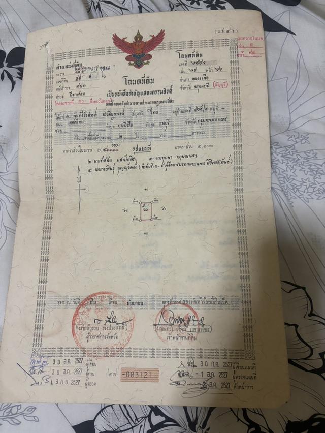 ที่ดินเปล่า แถวคลอง 13 ปทุมธานี 1