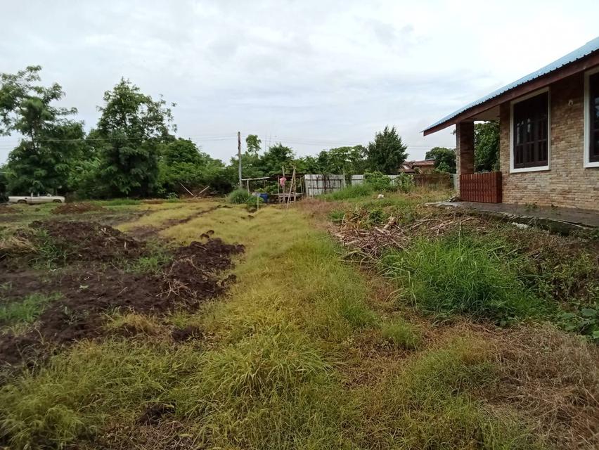 บ้านเดี่ยววิวสวยทำเรดี ขนาด 150 ตรว 10