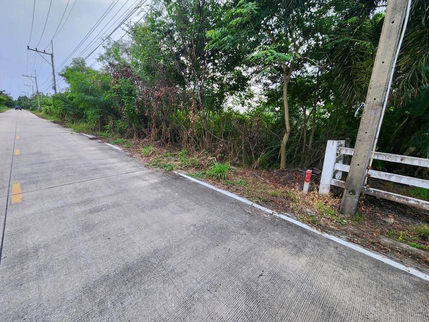 ขายที่ดิน รังสิต นครนายก คลอง7 แปลงสวย ขนาด1 ไร่เต็ม หนองเสือ- ซ.บึงบอน 10 ทำเลดีในราคาจับต้องได้ ✨ เพียง 1.5ล้านบาท 6