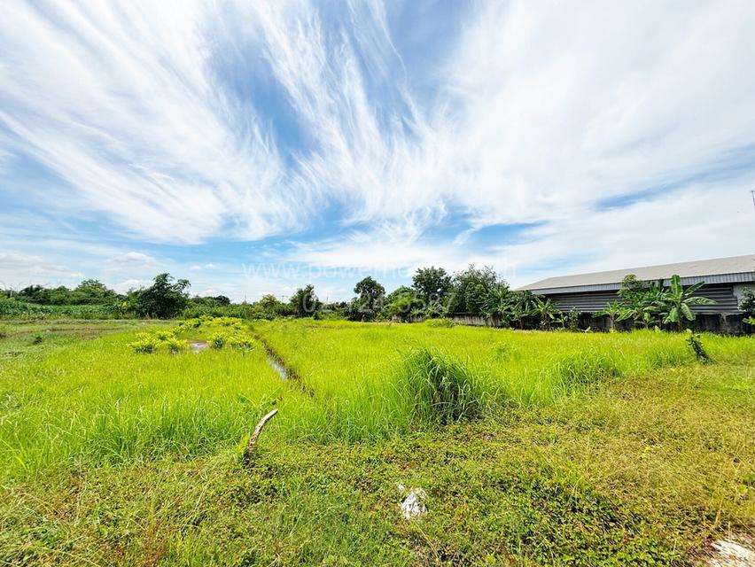 ที่ดินเปล่า เนื้อที่ 2 ไร่ ติดถนนเอราวัณ 1 ต.คลองสอง อ.คลองหลวง จ.ปทุมธานี 9