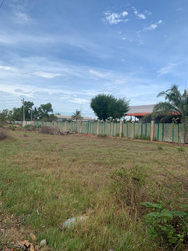 ขายที่ดินเปล่า ทำเลดี อำเภอกาญจนดิษฐ์ จังหวัดสุราษฎร์ธานี 9