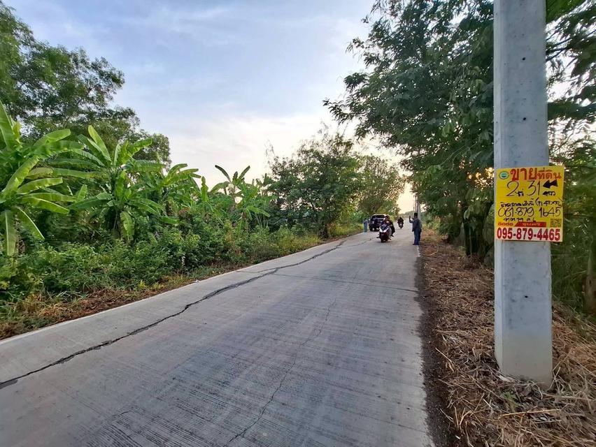 ขายถูกที่ดิน 831 ตรว ติดถนนคอนกรีตสาธารณะ ซ.คลองหก ตต.19 คลองหลวง ปทุมธานี 1