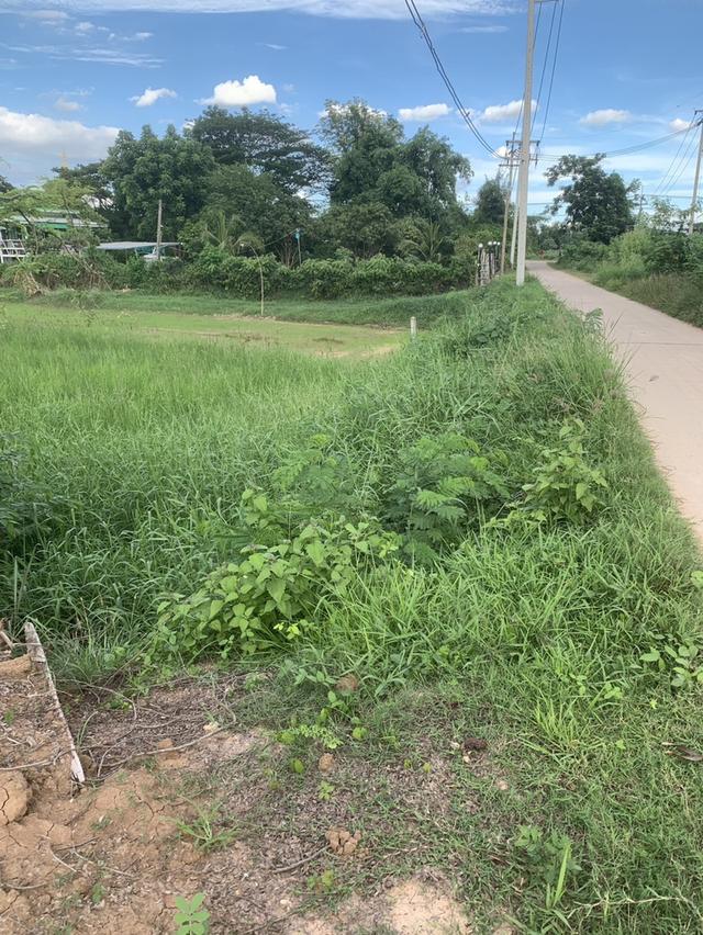 ที่ดินเปล่า