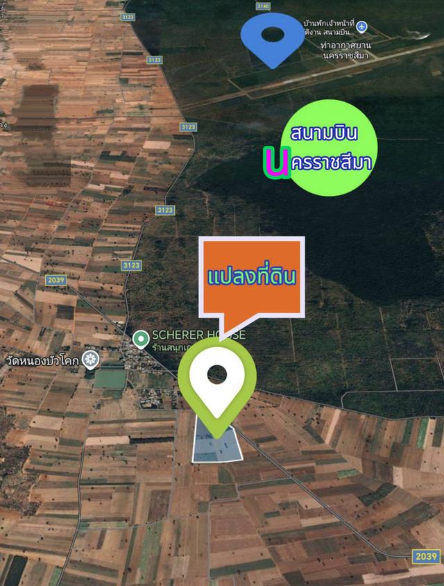 ขายที่ดินอำเภอเฉลิมพระเกียรติจังหวัดนครราชสีมา บ้านหนองบัวโคก ตำบลหนองยาง ขนาดที่ดิน 108-3-81ไร่โฉนด ติดถนน 2 ด้าน 1