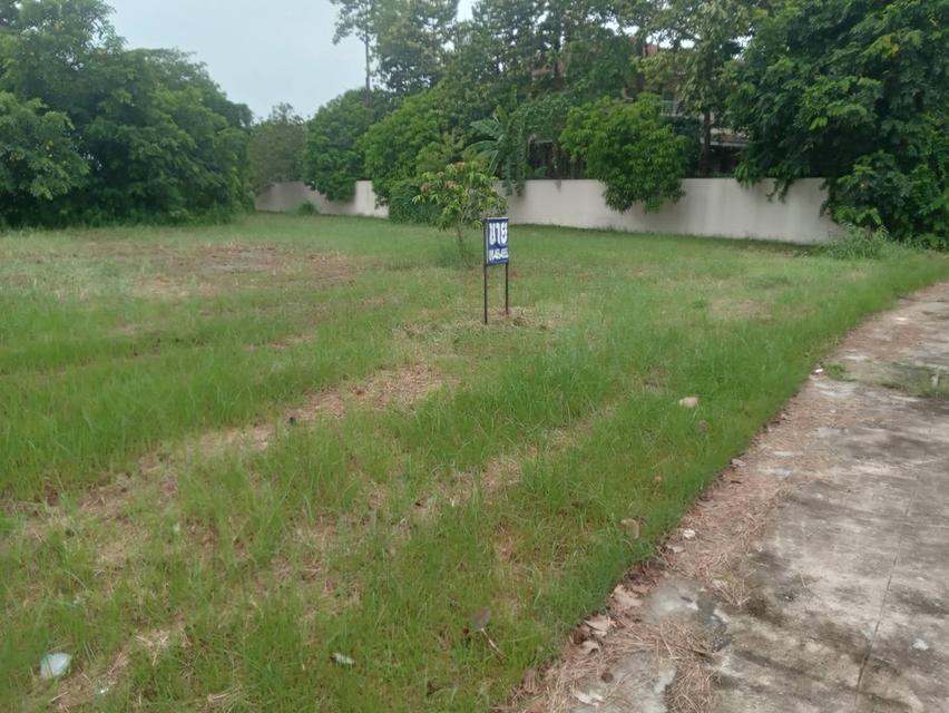 ขายที่ดินเปล่า 235 ตรว. ติดถนนคอนกรีต ติดทะเลสาบขนาดใหญ่ โครงการหมู่บ้านเดอะลากูน 1 6