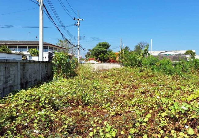 ขายที่ดิน ถนนบางเตย ซอย 4 อำเภอสามพราน นครปฐม เนื้อที่ 2 ไร่ ถมแล้ว 4