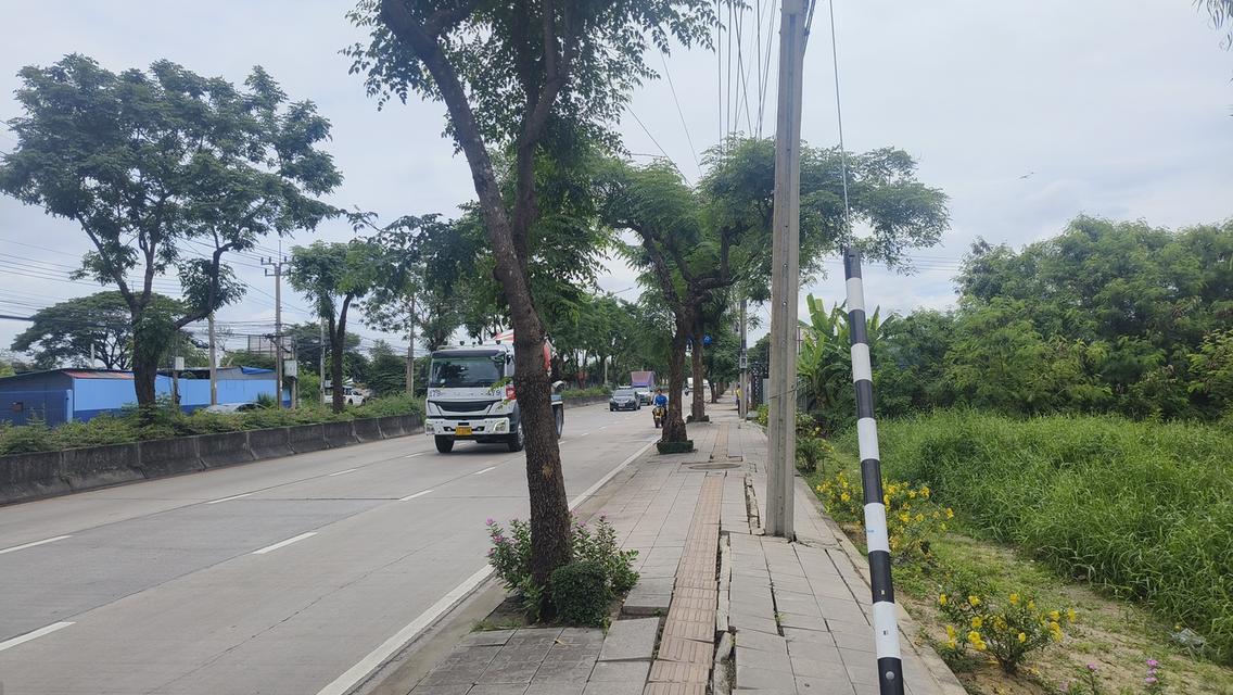 ขายด่วน ที่ดินติดถนนใหญ่ ราคาถูก 19