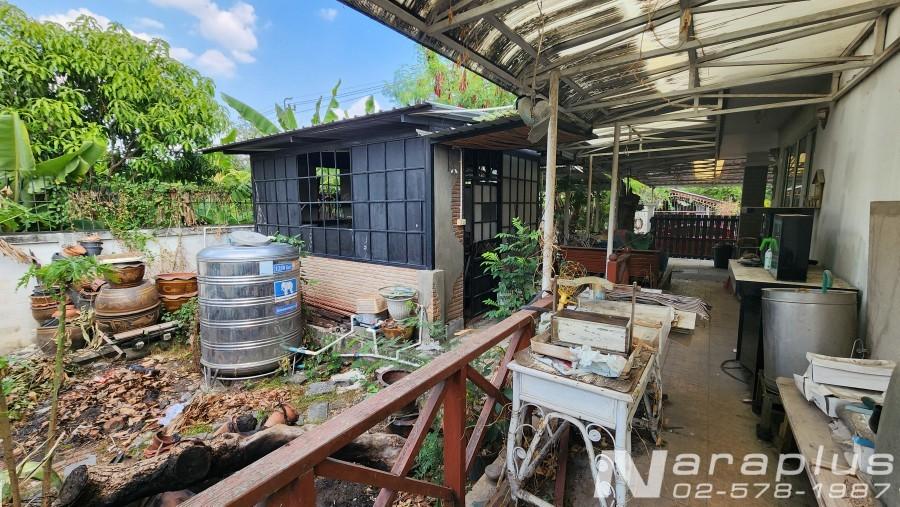 68040538 : ขายบ้านเดี่ยว 2 ชั้น พร้อมอาคารอเนกประสงค์ บนที่ดินขนาด 141 ตร.ว. หมู่บ้านพลายรัตนะ ถนนพหลโยธิน 54/1 แยก 6 สายไหม กรุงเทพ 16