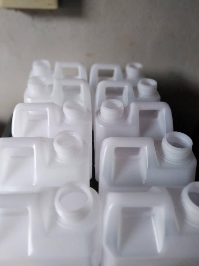 ปลาจ่อมชิวแก้วผสมกุ้ง 4