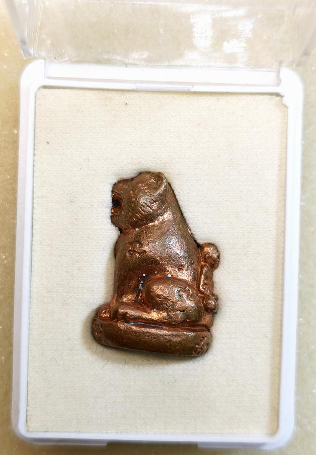 เสือแซยิด 85 หลวงพ่อเพี้ยน เนื้อสัมฤทธิ์เดช ปี 2555 วัดเกริ่นกฐิน ลพบุรี 4