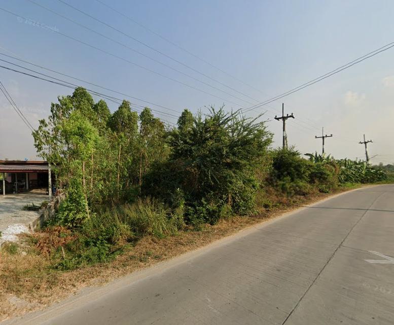 ขายที่ดินมาบเอื้อง หนองบอนแดง 2 ไร่ ติดถนนคอนกรีตไฟ3เฟสใกล้นิคมอมตะเฟส10-14กม. พานทอง ชลบุรี 3