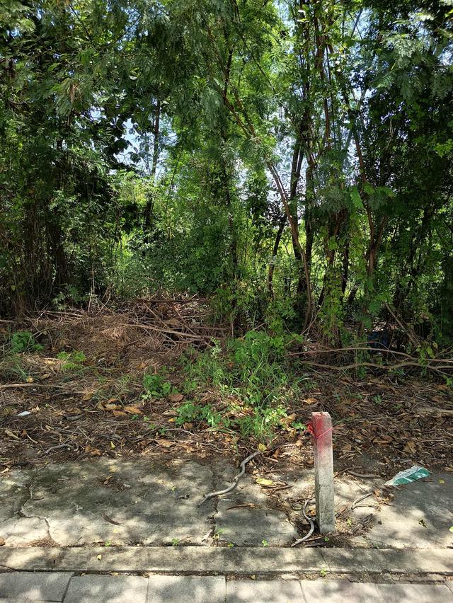 ที่ดินนิมิต​ใหม่​ 4