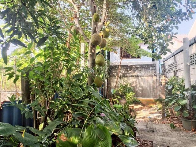 ขายบ้านเดี่ยวหมู่บ้านคู่ขวัญหรรษา 3-4 ตำบลสวนหลวง อำเภอกระทุ่มแบน จังหวัดสมุทรสาคร 7