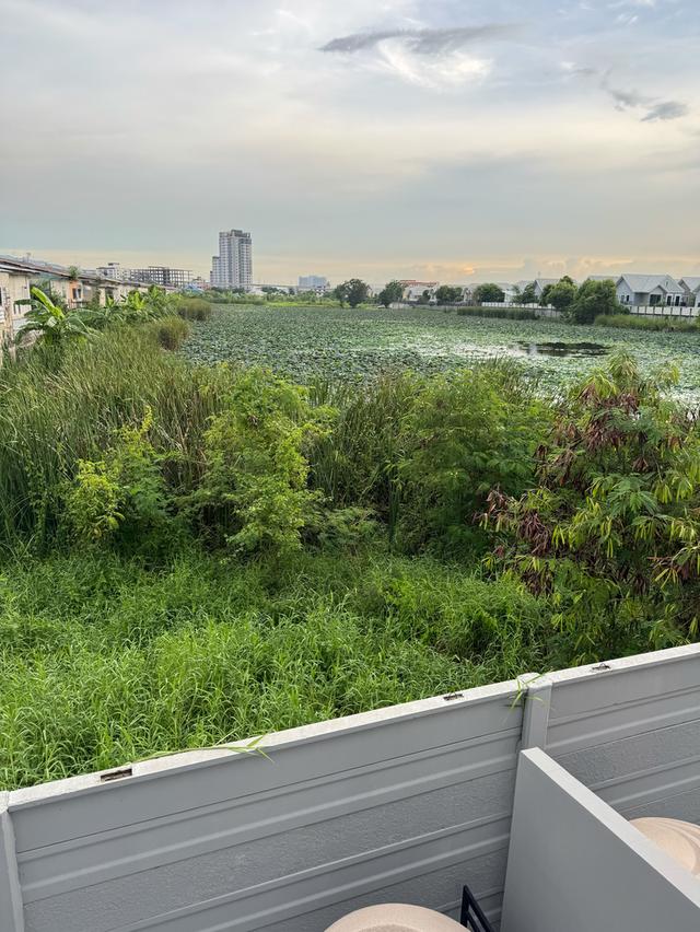 ขายบ้านที่ พลีโน่รามอินทราบางชันสเตชั่น 2 12