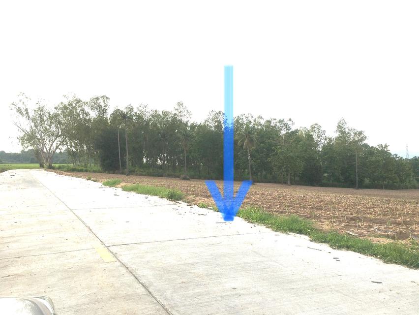 ขายที่ดินบ่อวิน 18-0-35ไร่ด้านหลังติดคลองพันเสด็จ ที่ดินเหมาะพัฒนาอุตสาหกรรม,ที่พักอาศัย ที่ตั้งตำบลบ่อวิน อำเภอศรีราชา จังหวัดชลบุรี 2