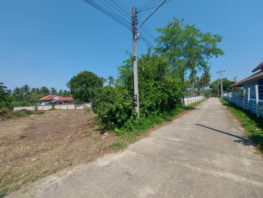 ที่ดินผืนใหญ่ใกล้ทะเล สำหรับคนที่ต้องการความเป็นส่วนตัว 8