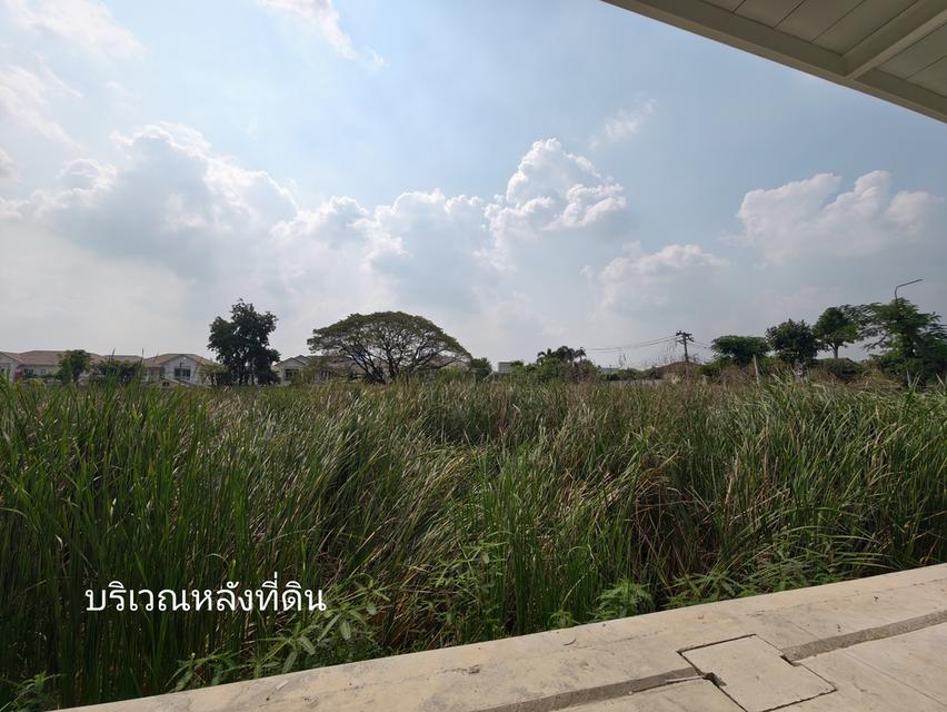 ขายที่ดินเปล่า ไทรม้า นนทบุรี ใกล้แม่น้ำเจ้าพระยา ขายยกแปลง เจ้าของขายเอง 9