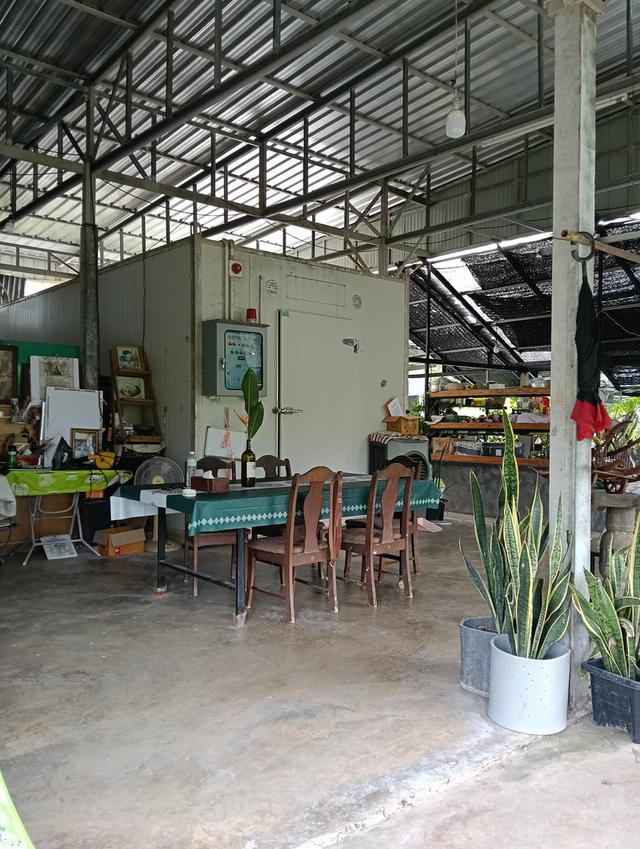 ที่ดินพร้อมโรงงาน+ห้องเย็น+โรงปลูกผักออแกนิค 4