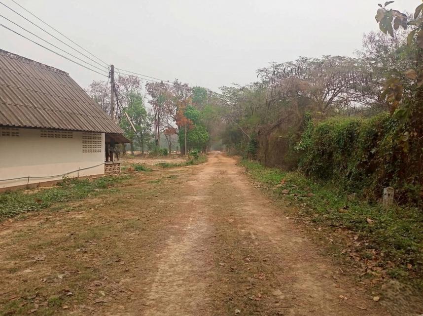 ขายที่ดิน 40 ไร่ 0 งาน 67.5 ตร.ว. ติดถนนหมายเลข 1186 ใกล้กรมทหารพรานที่ 31 พะเยา 1