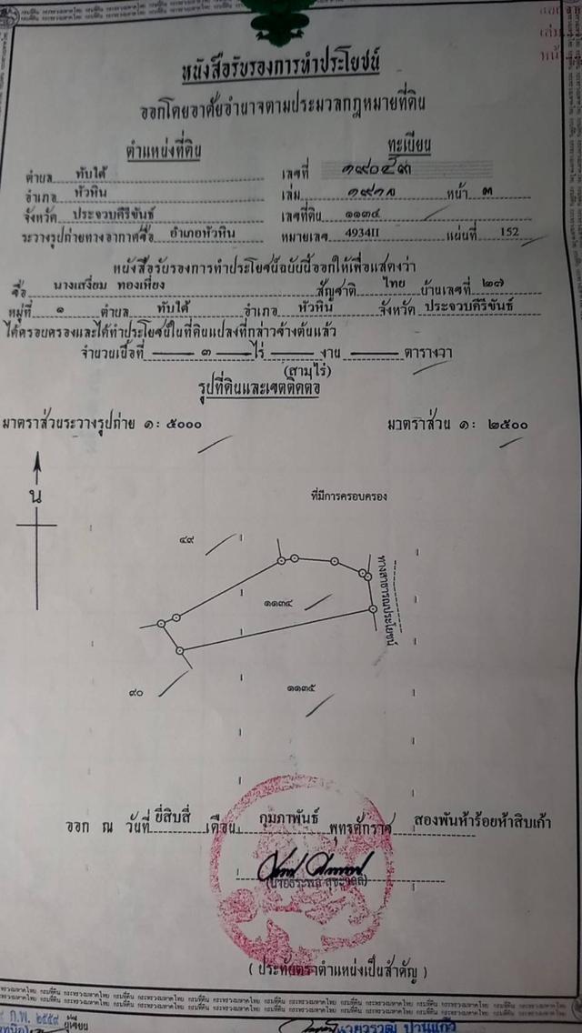 ขายด่วน!!! ที่ดิน ทำเลหนองพรานพุก, หัวหิน, ประจวบคีรีขันธ์ 1